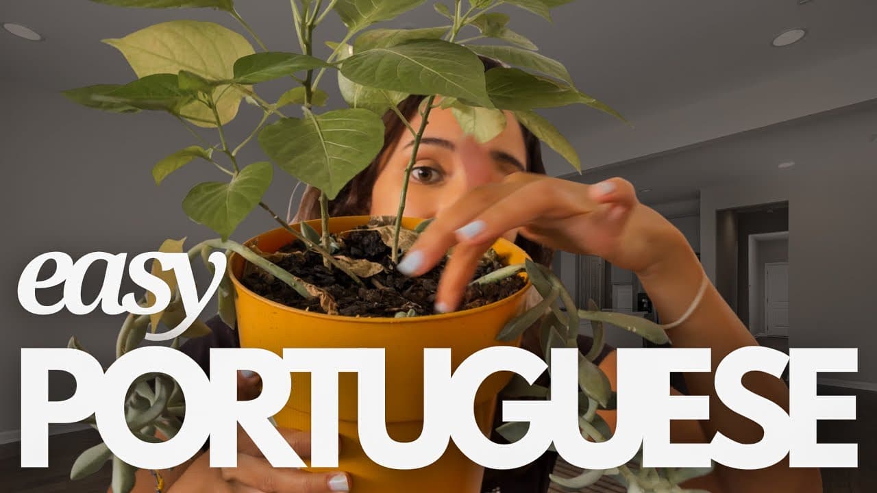 Learn Brazilian Portuguese The Easy Way With Comprehensible Input 🇧🇷