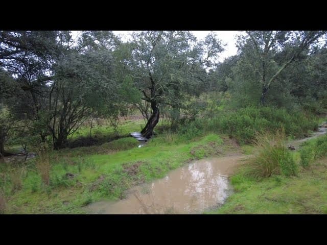 Experience Versus Statistics: Planning Water Flow on a Small Farm - Part 1