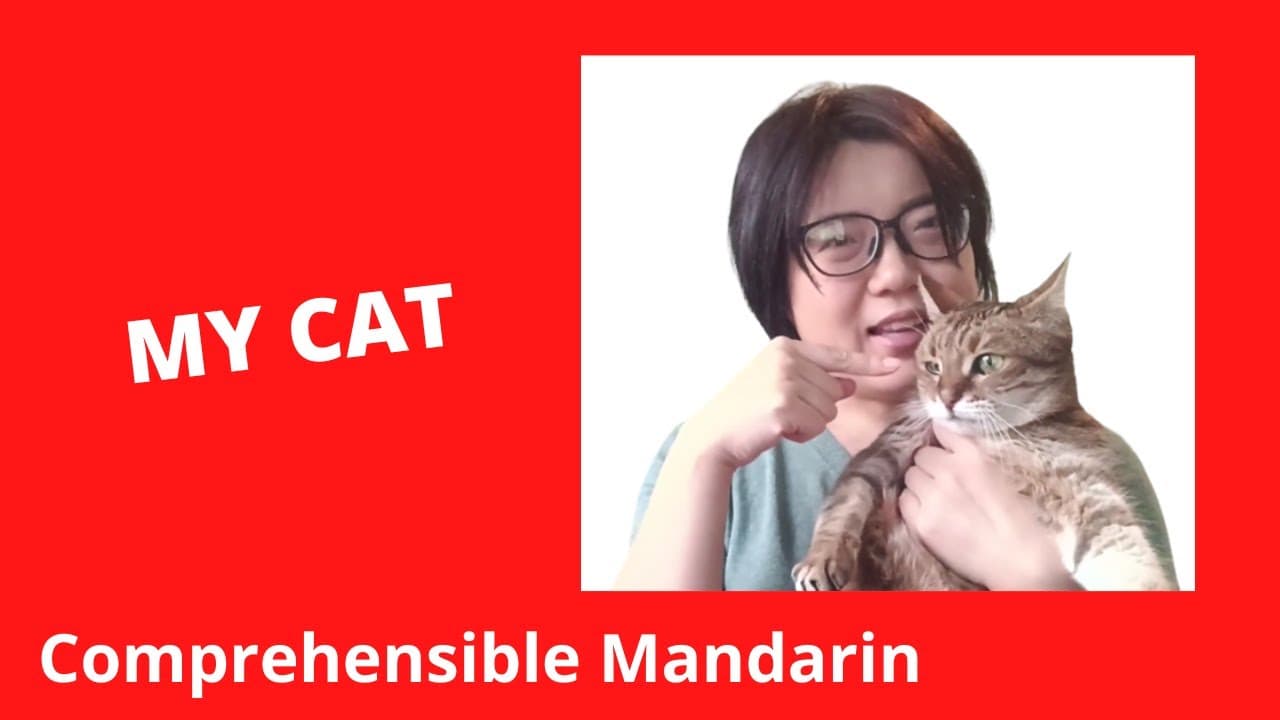 My Cat - Chinese Comprehensible Input