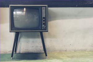 Capítulo 118 - Programas de Televisión para entender España