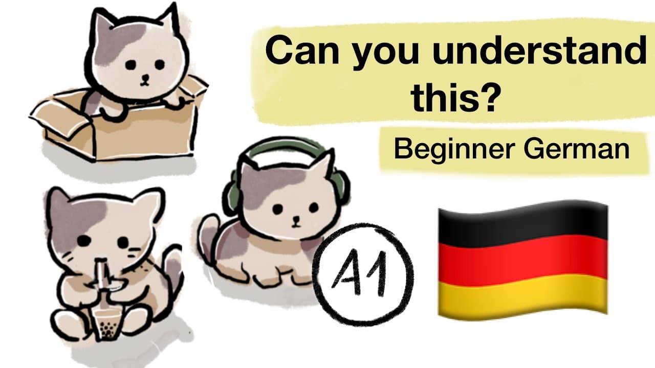 What is the cat doing? Comprehensible Input German, superbeginner