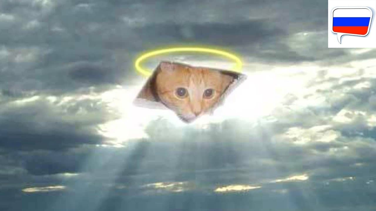 Paradise? (Beginner Russian Comprehensible Input)