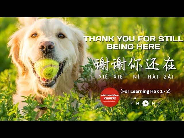 谢谢你还在 | Thank You For Still Being Here | Learn Chinese Through Simple Chinese Songs