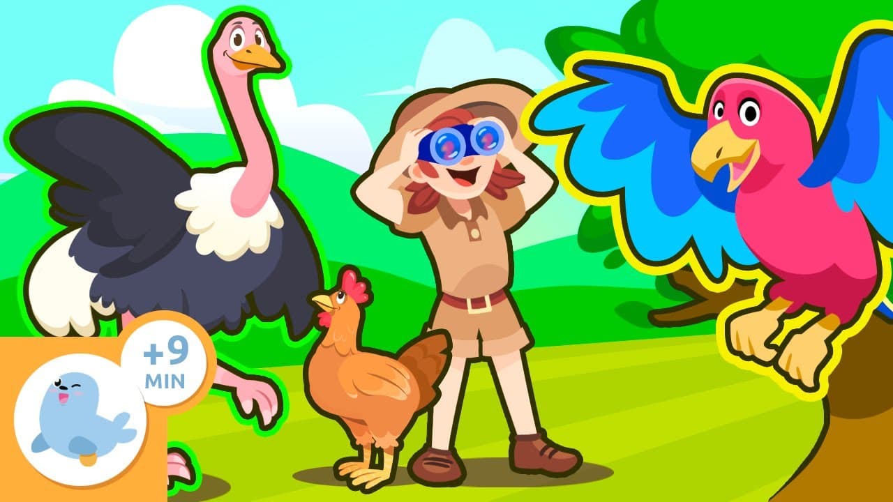 BIRDS for Kids 🐦🦜🐧🦆 Characteristics and Fun Facts