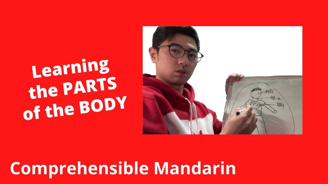 Learning The Parts Of The Body - Chinese Comprehensible Input