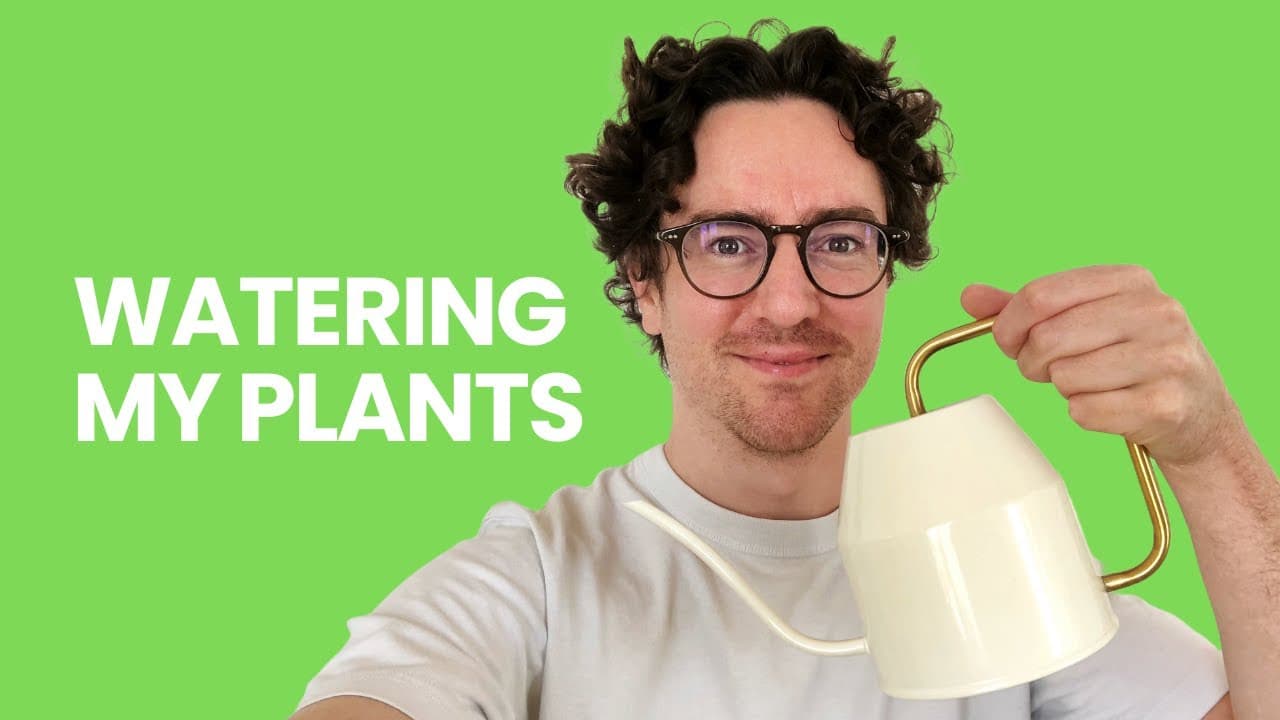 Watering my plants - Complete beginner French (Comprehensible Input)