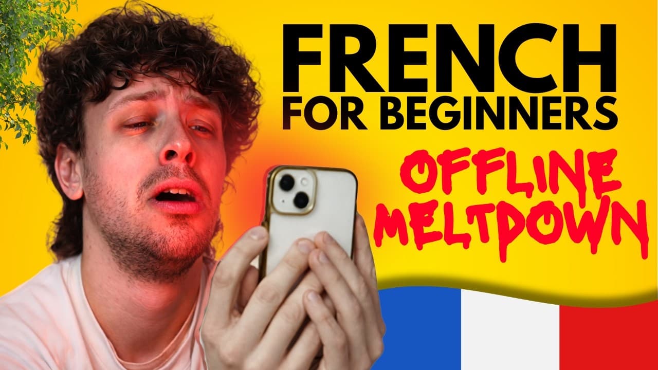 French Story for Beginners: "Offline Meltdown" (A1-A2)