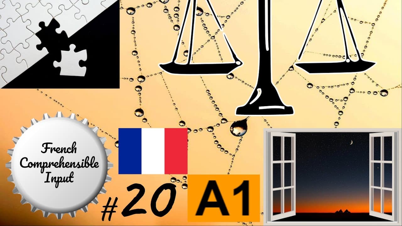 Learn French for Beginners  -  "5 mots"   A1 #20    (fr sub)