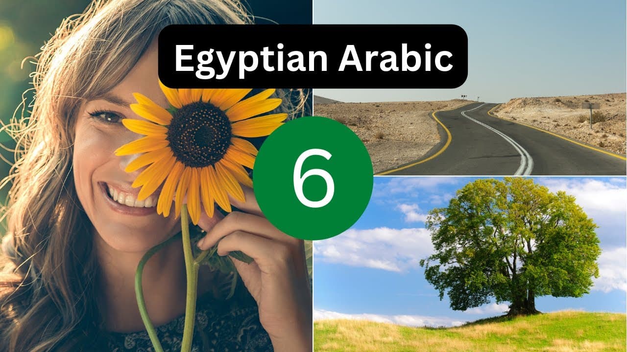 Egyptian Arabic | Lesson 6 - The outdoors