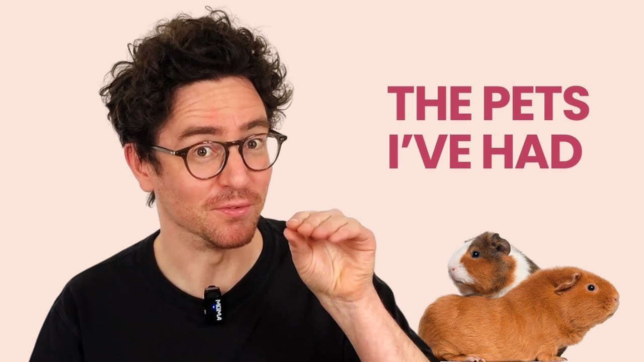 The pets I've had - Beginner French (Comprehensible Input)