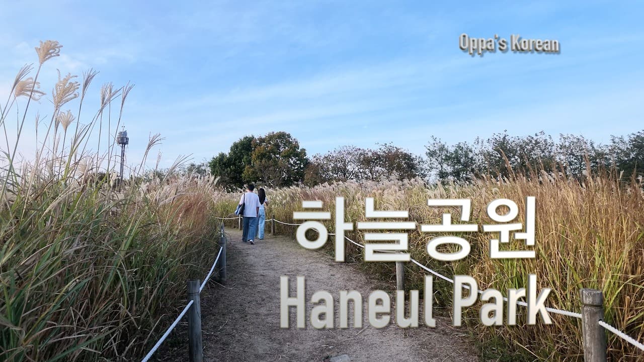 Easy Korean Immersion: Haneul Park (하늘공원)