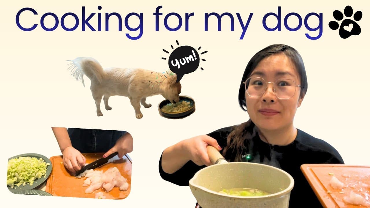 I'm cooking for my dog