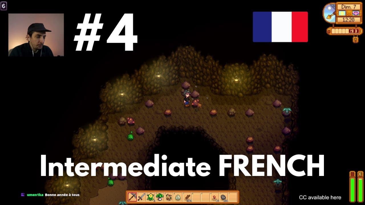 Learn French with Stardew Valley #4 - Intermediate French
