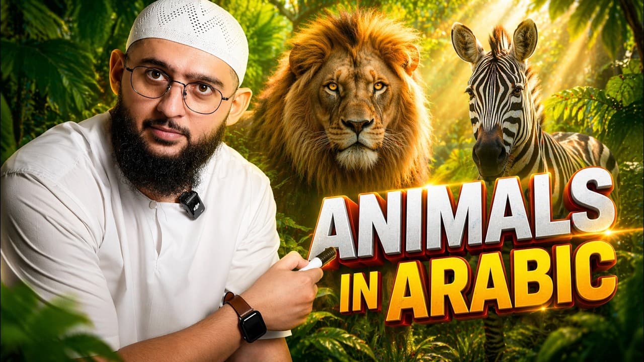 Learn Arabic with Animals (Comprehensible Input)