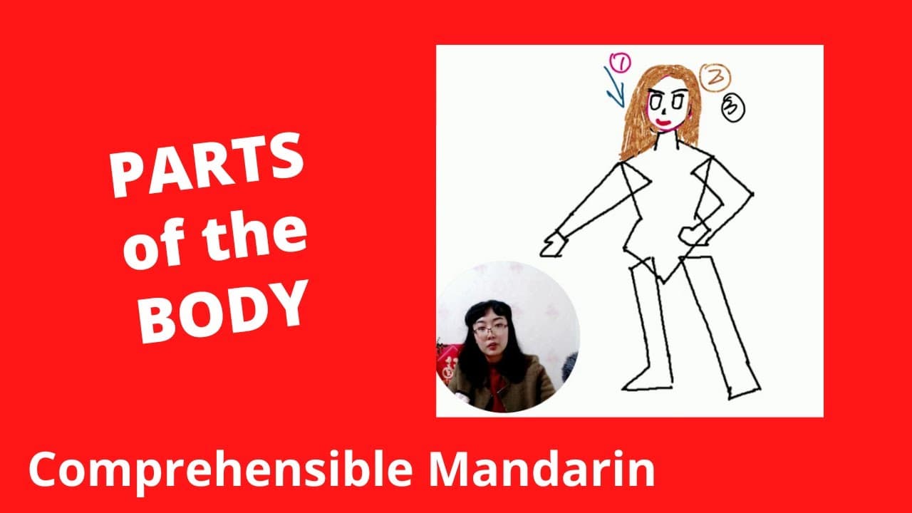 Parts of the Body - Chinese Comprehensible Input