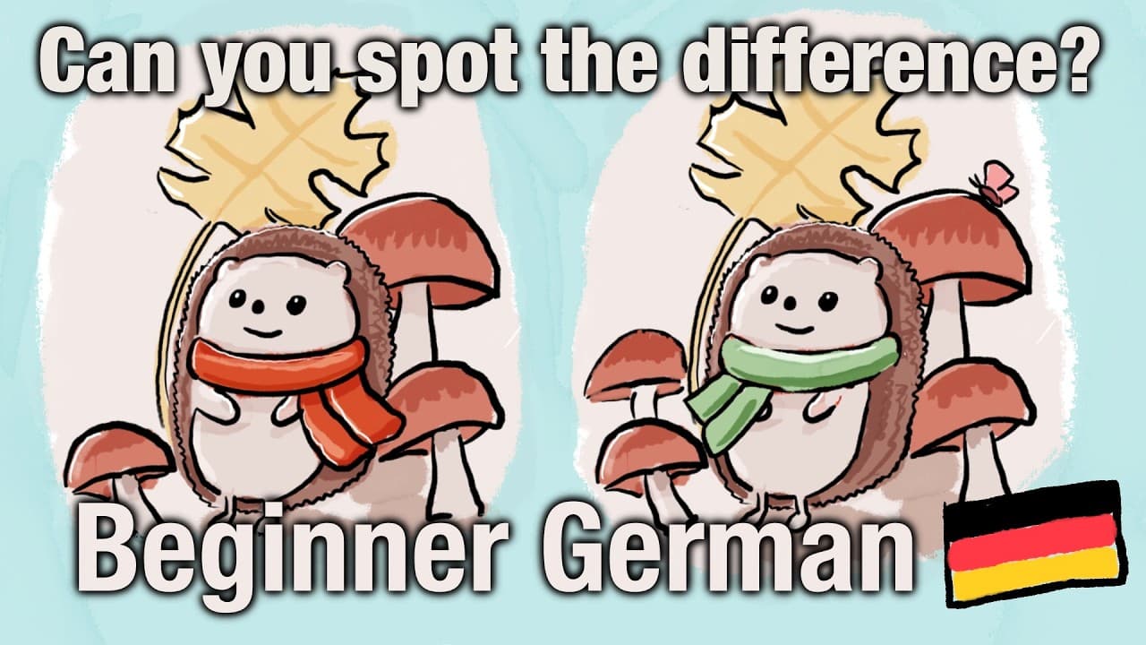 Can You Spot the Difference? German Comprehensible Input, beginner German, A1