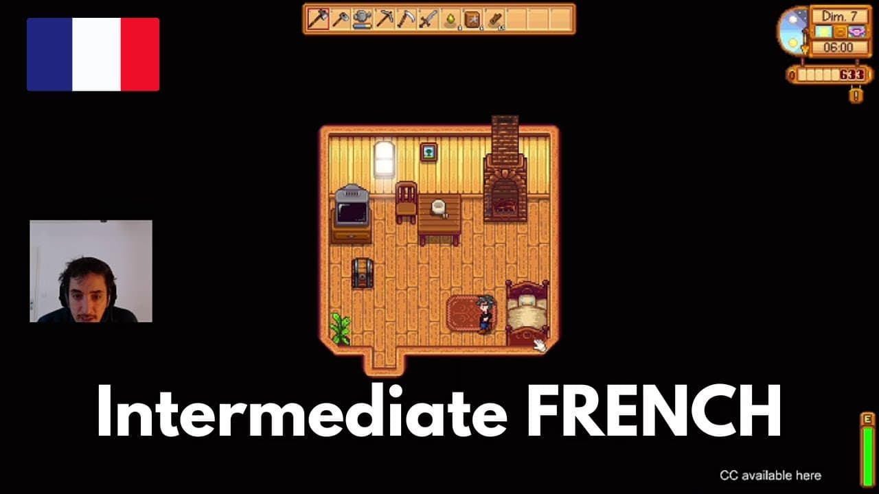 Learn French with Stardew Valley #3 - Intermediate French