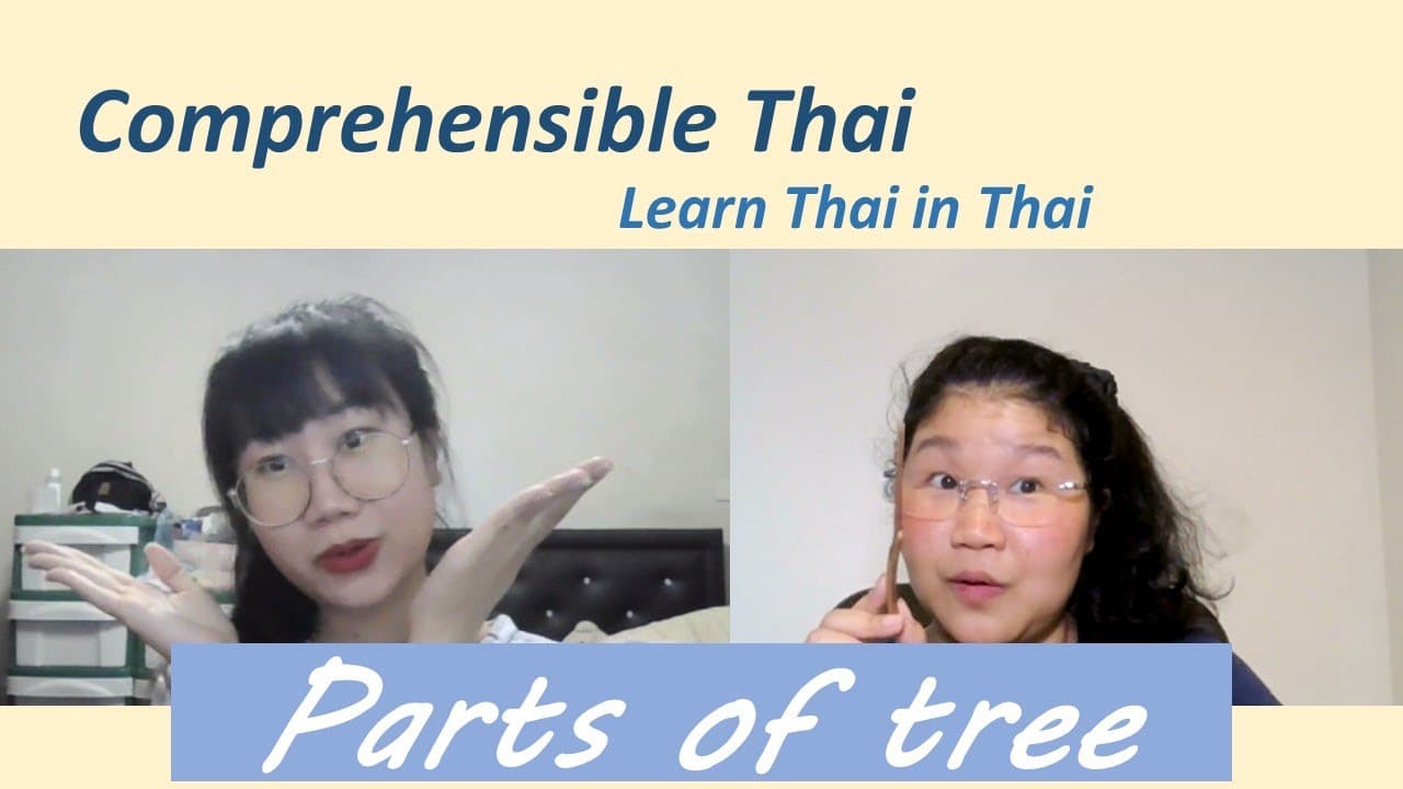 Parts of tree (Learn Thai in Thai: Basic Beginner)