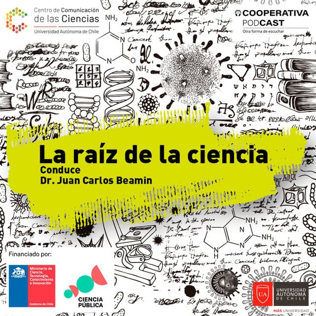 La cultura que preservan las momias