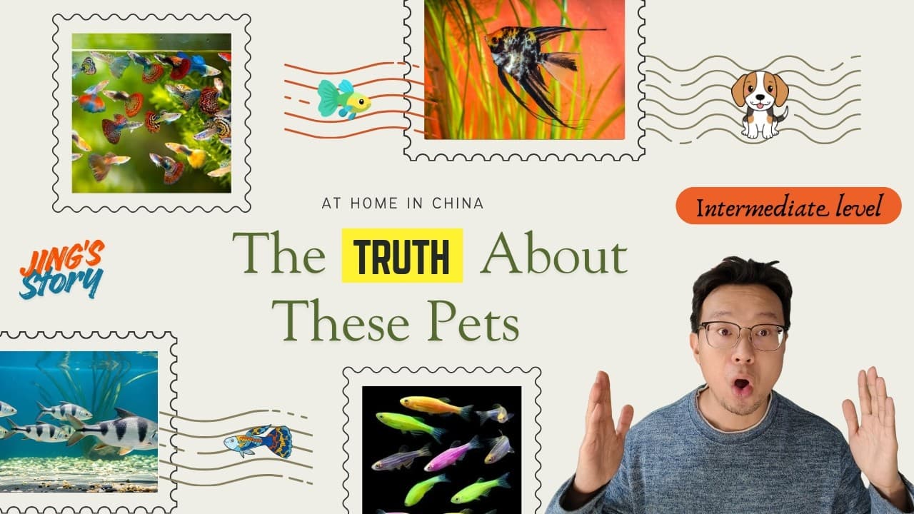 What I recommend for Beginner Fishkeepers? | Learn from experience | Comprehensible Input