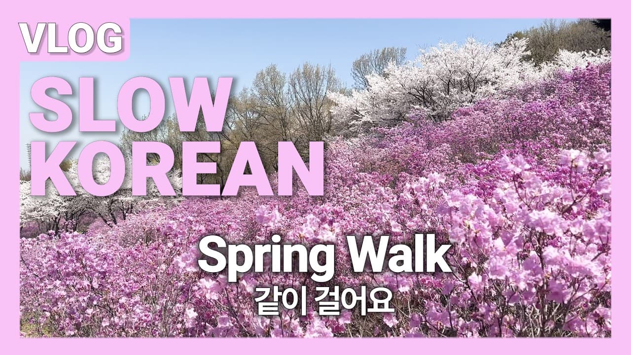 Learn Korean with a Spring Walk |  Comprehensible Input Korean