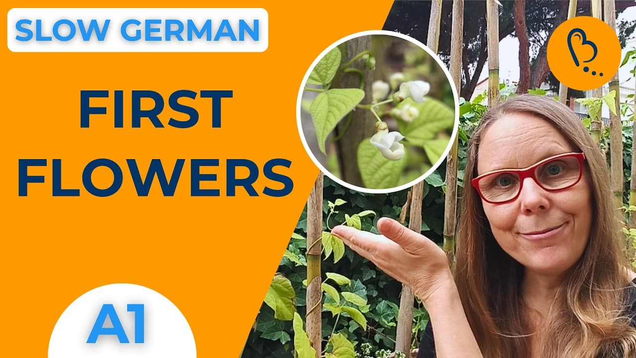 Learn German with Beans 🫘🌱 Part 5: The First Flowers | Easy Vlogs #22 | German CI [A1] - Beginner