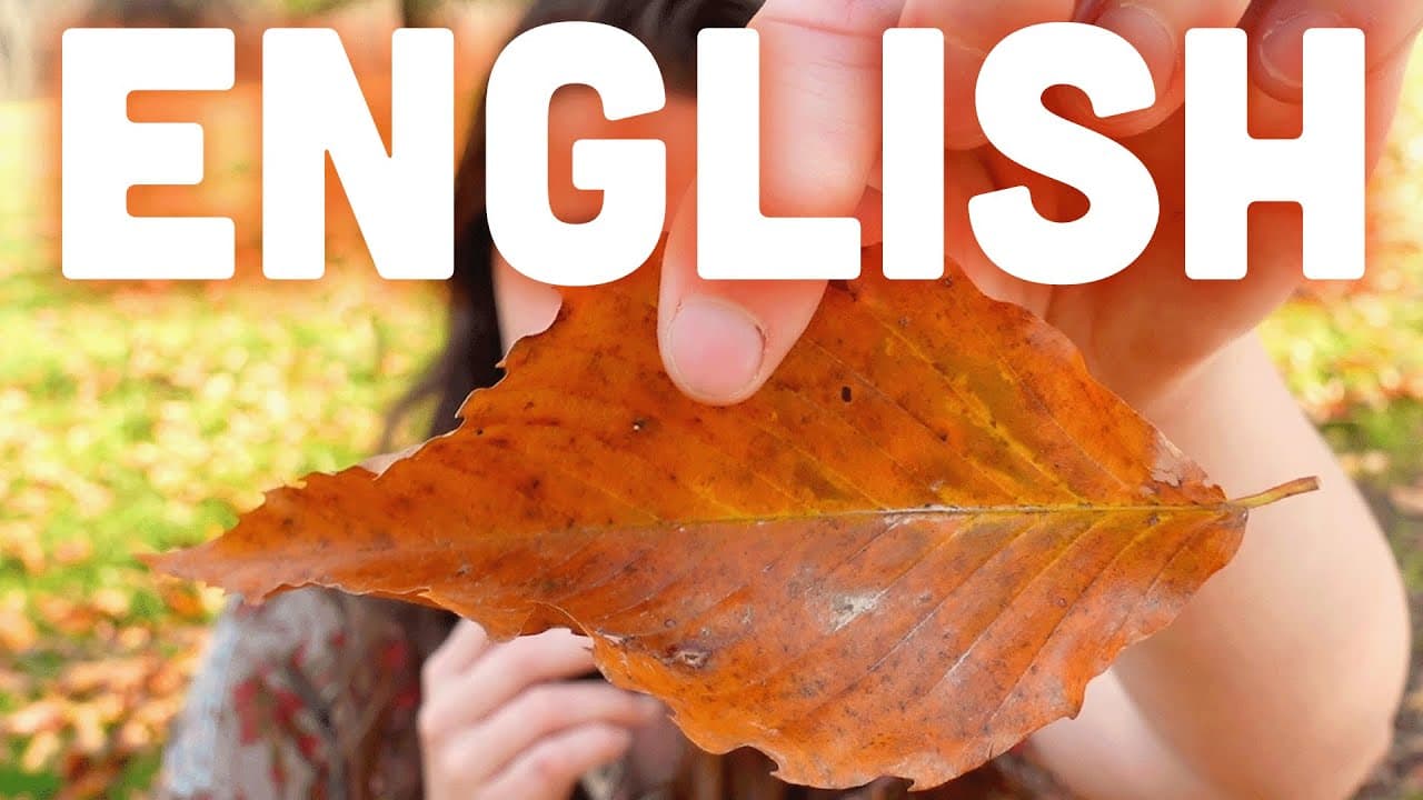 🟡 Learn English with this Leaf (yes, actually)