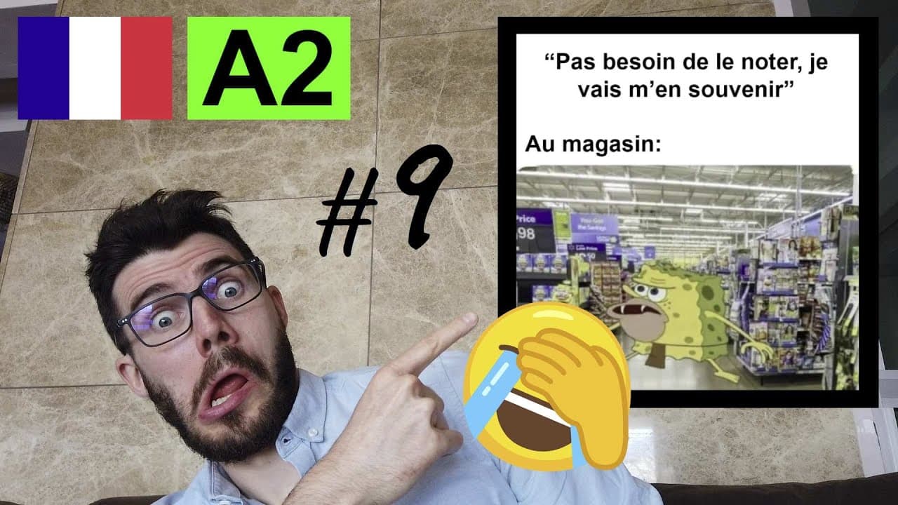 Learn French with MEMES 🤔 - A2 #9 (fr sub)