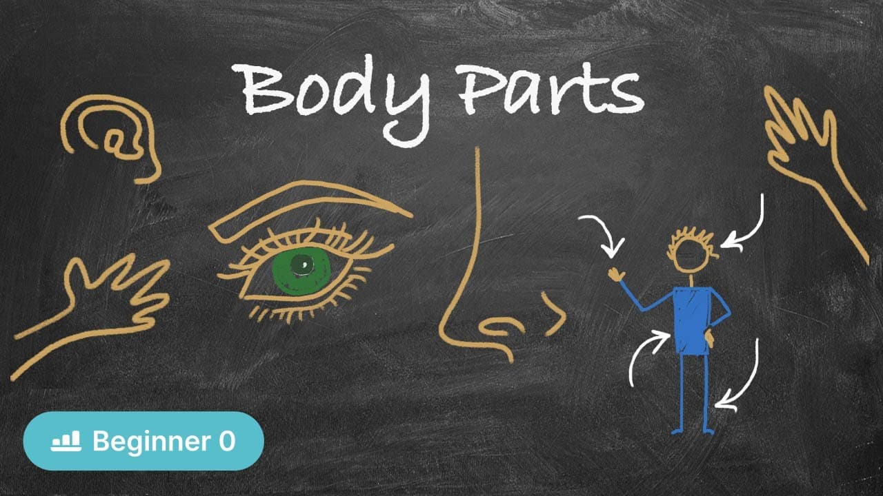 Body Parts (Zero Beginner - Comprehensible Russian)