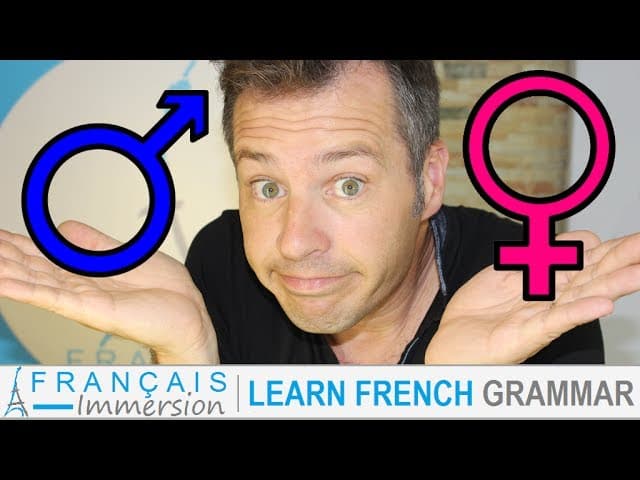 French NOUNS - GENDER of nouns (Masculine Feminine) Le GENRE des NOMS (Masculin ou Féminin) + FUN!