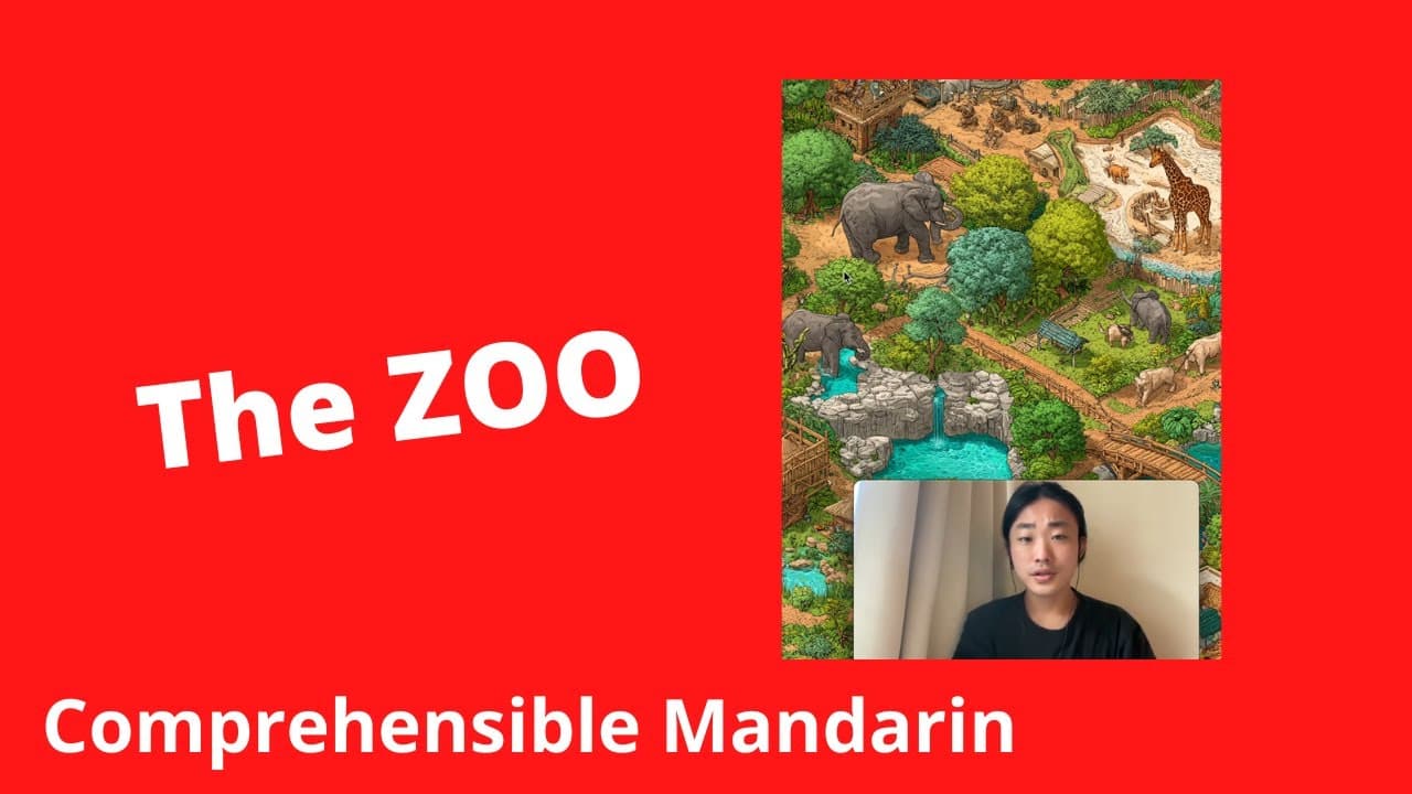The Zoo - Chinese Comprehensible Input