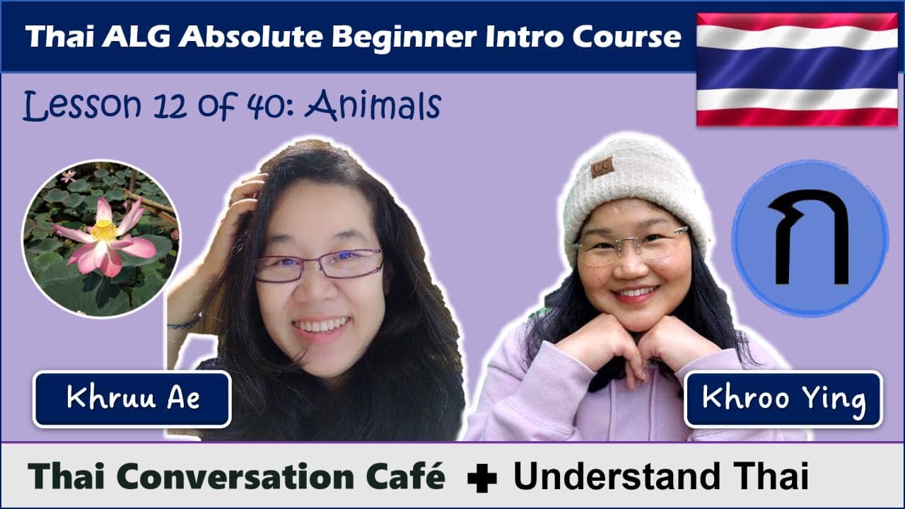 Animals (Thai Conversation Café ft. Understand Thai: Absolute Beginner Intro Course)