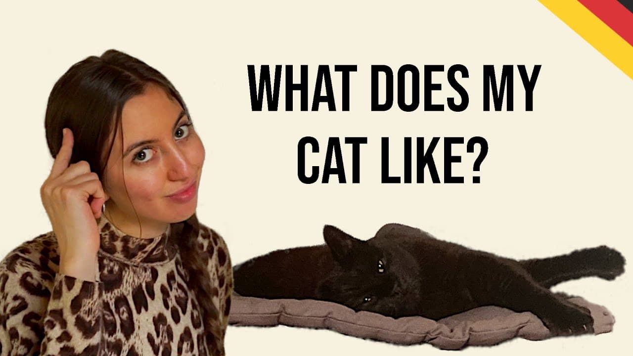 5 Things My Cat Likes To Do - Beginner German / Comprehensible Input