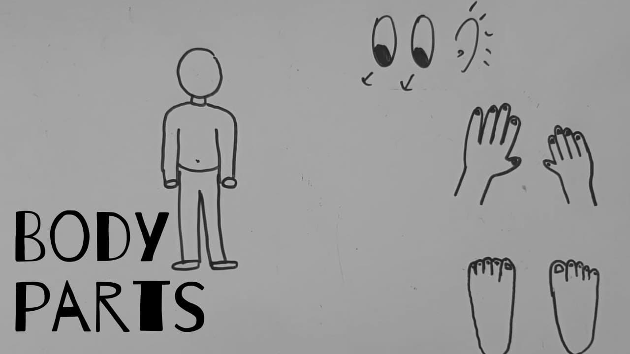 Body Parts in Korean 🖐️💪🦶🦵- Comprehensible Input Korean