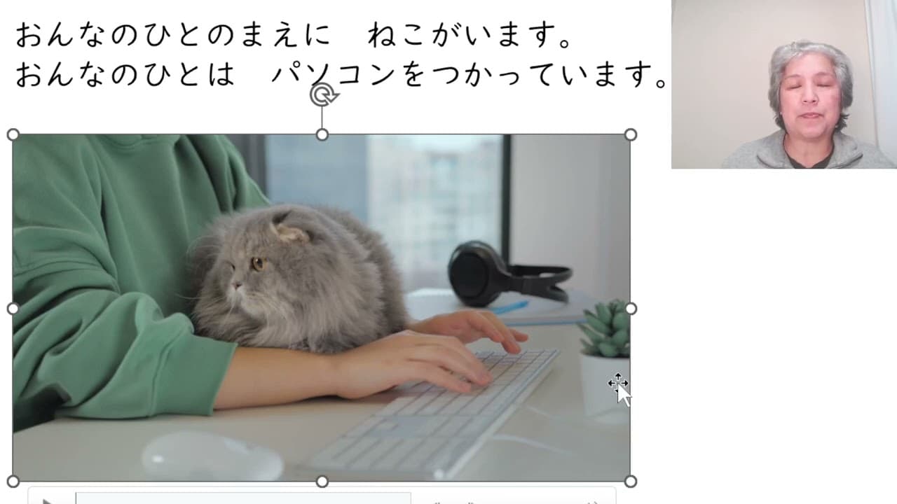 Cat uses PC - Use  Japanese Basics12 (Absolute Beginner) Comprehensible input 12/100‐neko