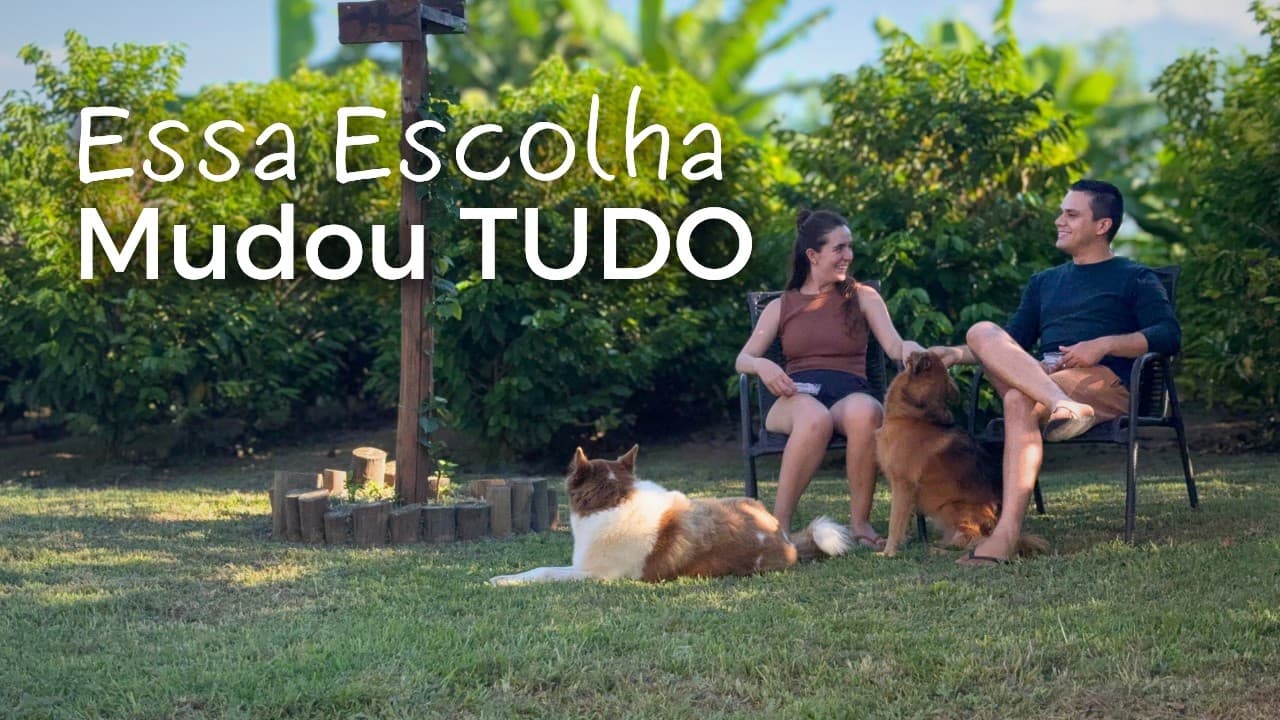 PAREI de Esperar as Férias: Agora Vivo Assim