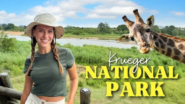 Kruger National Park, South Africa: I Saw Elephants, Giraffes and More!
