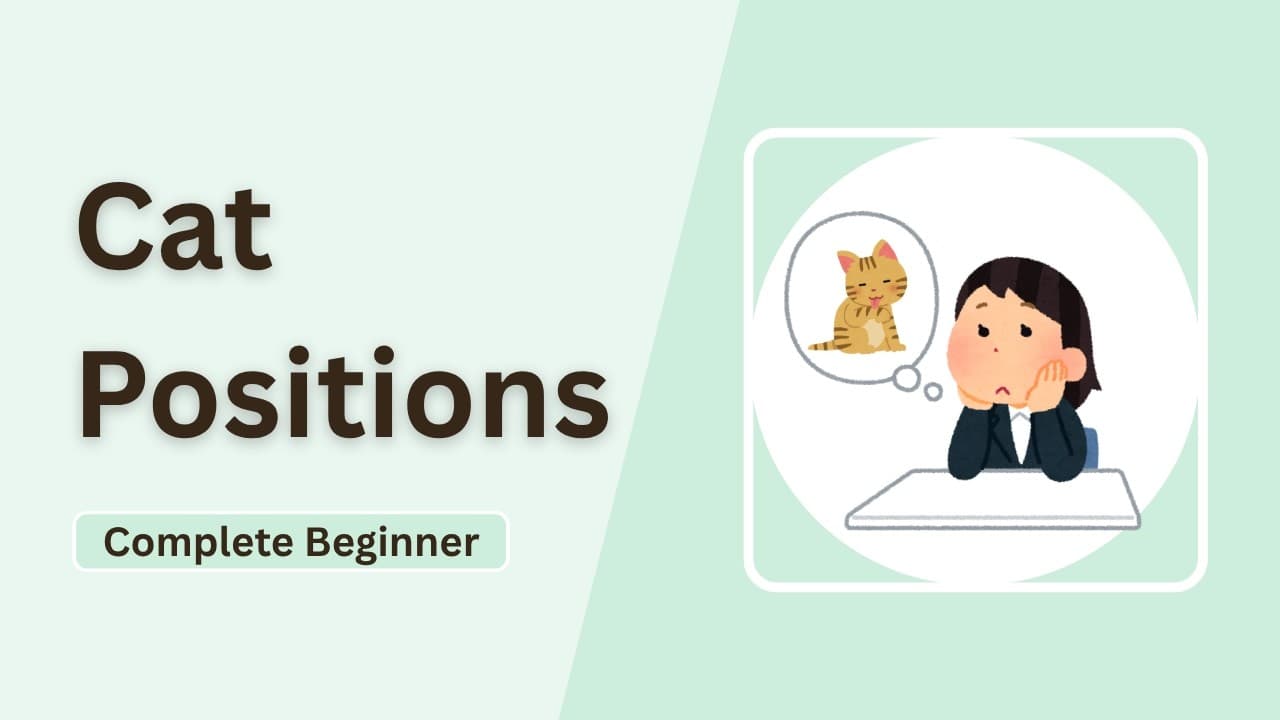 Cat Position | Lebanese Preposition | Lebanese Comprehensible Arabic