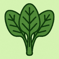 profile picture for Kindly-Fake-Spinach-318