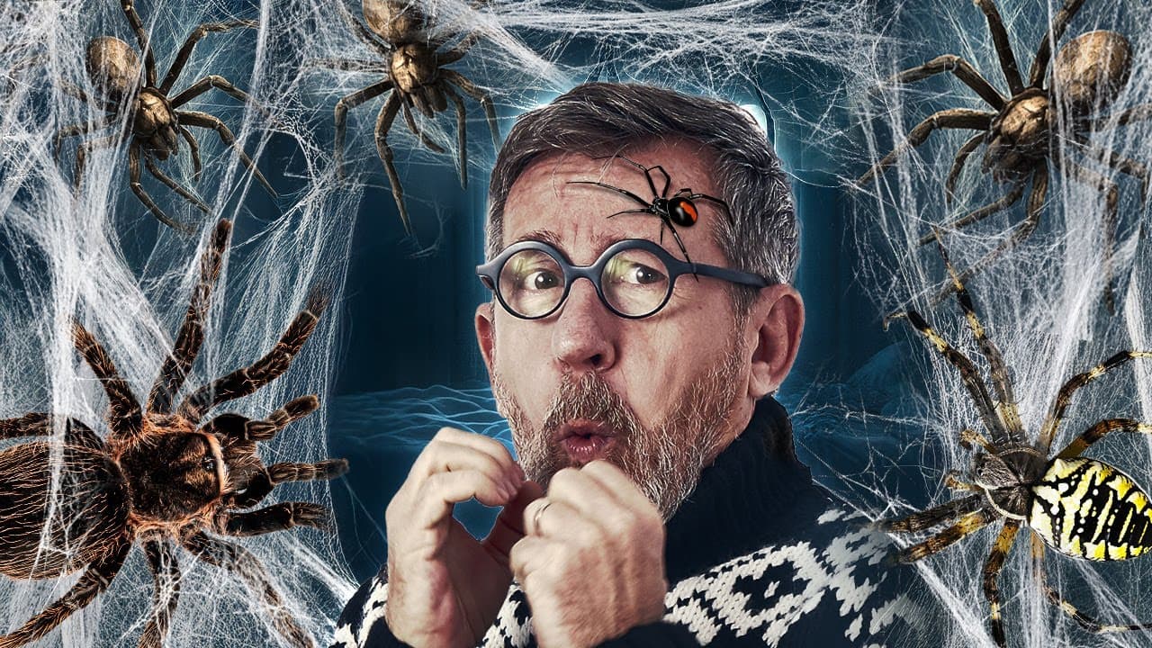Pourquoi les araignées nous font si peur ?