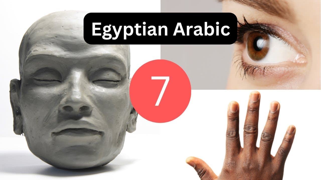 Egyptian Arabic | Lesson 7 - Parts of the body