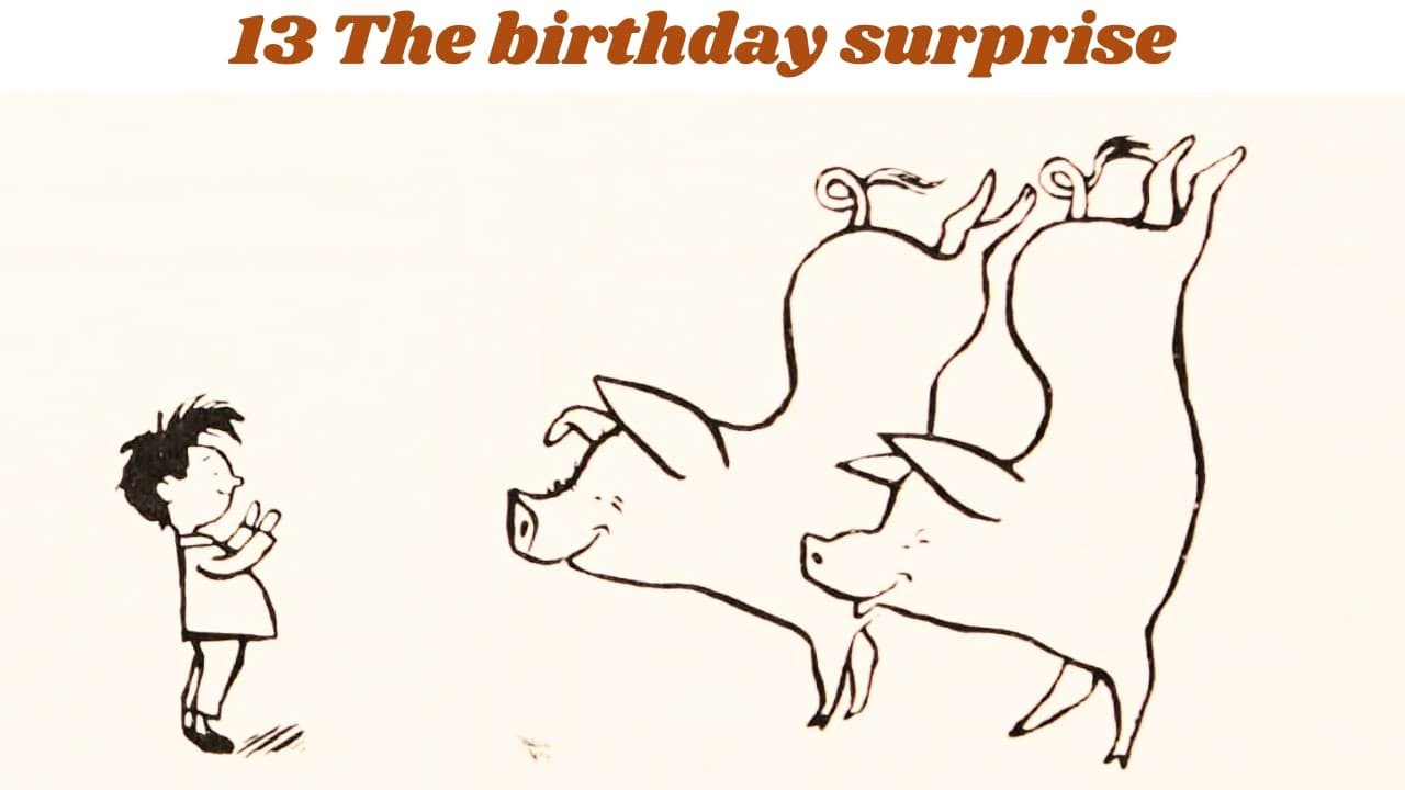13 The birthday surprise