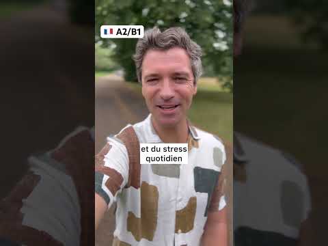 🇫🇷 French daily phrases - intermediate level