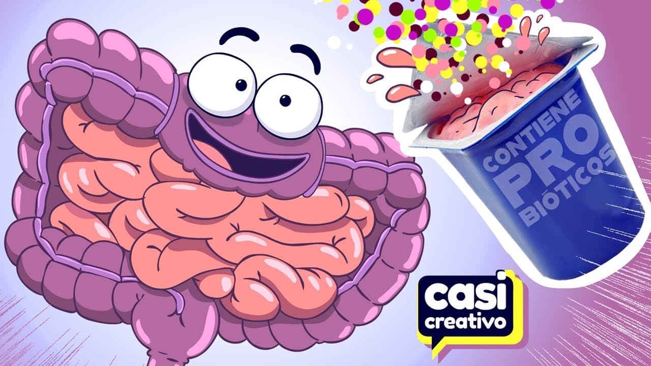 Tus Intestinos Cuando Comes Yogur | Casi Creativo
