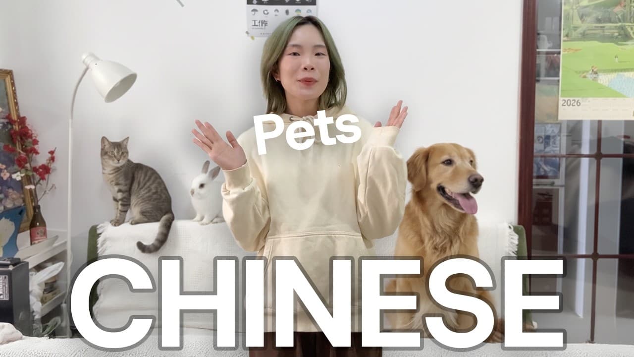 Learn Chinese Naturally With Pets! 🐶 (Superbeginner Mandarin Comprehensible Input)
