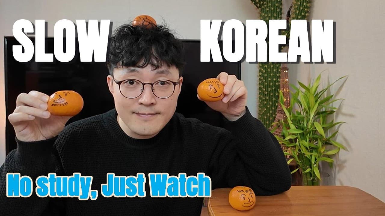 Korean Beginner? WATCH THIS! | comprehensible input Korean