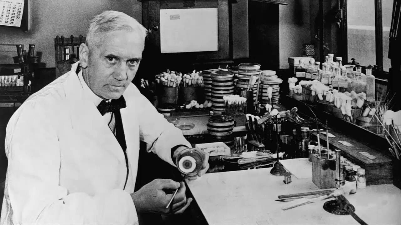 Facts from history (Beginner Russian Comprehensible Input)