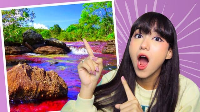 Caño Cristales: The River of Five Colors