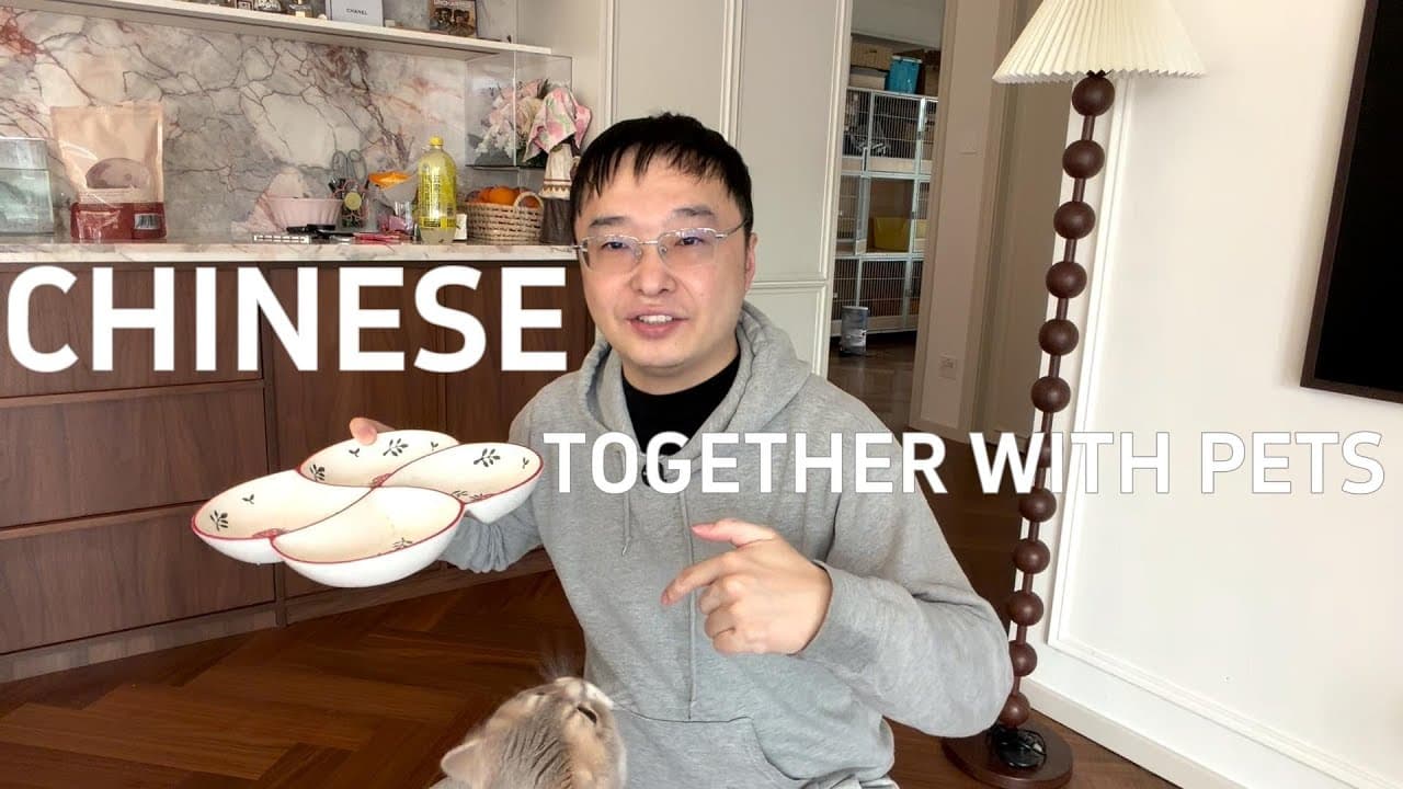 通过周末陪伴宠物来自然的学习中文（可理解性的输入）