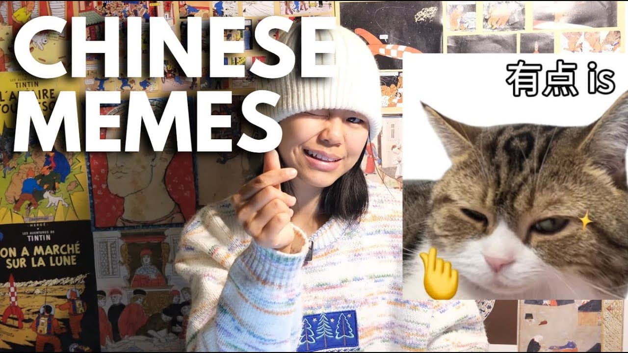 跟我一起看中文表情包！#1 |  HSK2-3 (Eng Sub & Pinyin)